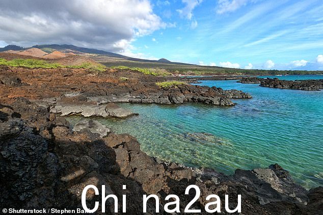 25 岁的伊利亚 (Ilya) 在海底被发现并被带回岸上。对两名受害者进行了心肺复苏术,但救援人员的努力没有成功,他们被宣布死亡(如图) : Ahihi-Kinua 自然保护区)