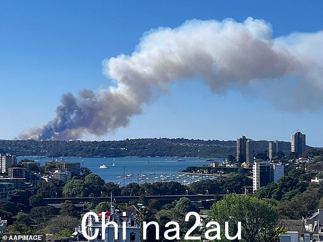可以看到从城市各处茂密的丛林中冒出大量烟雾(如图)