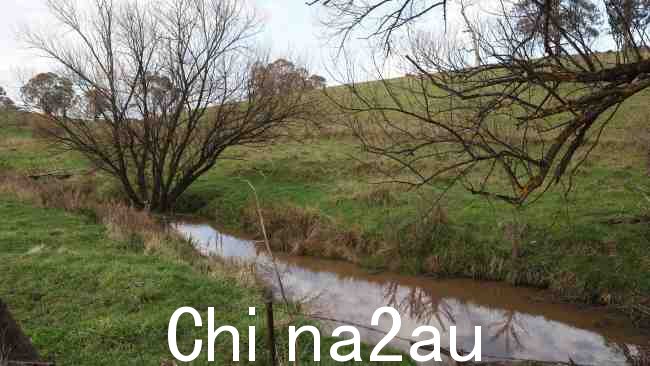 Wiradyuri 传统所有者 Central West Aboriginal Corporation 所说的“神圣歌曲”流经 Belubula 河的地方。图片:Rohan Kelly/澳大利亚新闻集团