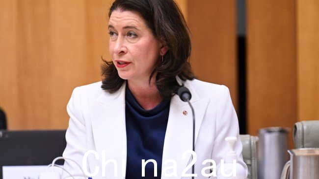 影子资源部长参议员Suzy McDonald表示,扩大三个煤矿的决定是不可避免的。图: NCA NewsWire / Martin Ollman