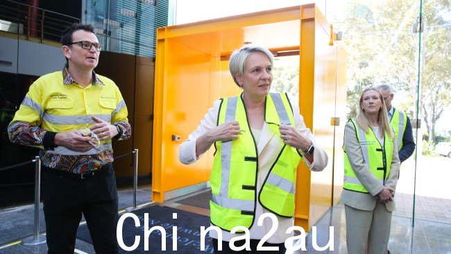 环境部长 Tanya Plibersek 批准了 3 个煤矿扩建项目周一,新南威尔士州。 图片:NewsWire / Gaye Gerard