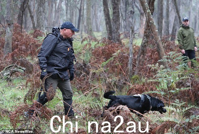 恩菲尔德州立公园附近的地区之前已被搜查过,一位专家指出警方可能掌握了他们正在采取行动的情报