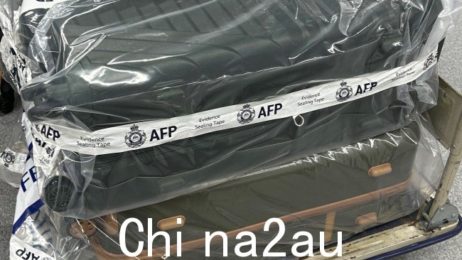 一名23岁美国公民涉嫌分两次进口21公斤可卡因和21公斤冰毒图片:AFP/ABF