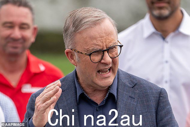 新南威尔士州对安东尼·艾博尼斯 (Anthony Albanese) 工党政府的支持率已跌至有记录以来的最低水平,工党在维多利亚州也受到打击