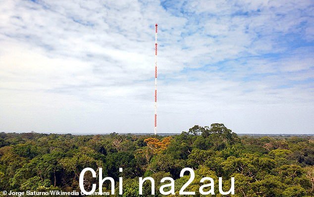 科学家报告称,首次在亚马逊雨林大气中发现了持续时间如此之长、被称为“永久化学物质”的有害化学物质