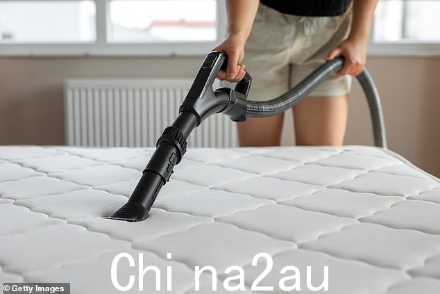 脱掉所有床上用品,用吸尘器彻底清理床垫
