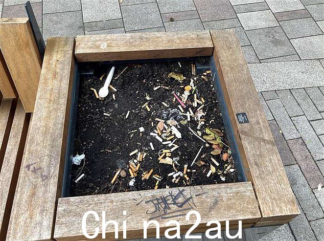 因乱扔垃圾而被处以巨额罚款的吸烟者,在市议会承认花盆可能被误认为是烟灰缸后,他们的罚单被推翻了