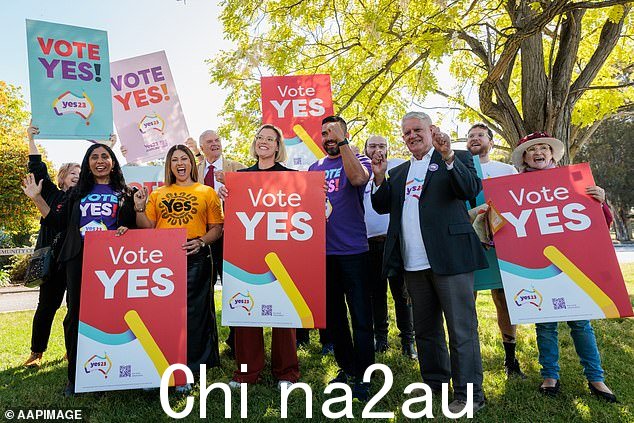 国家认可已成为必和必拓和力拓等矿业公司等大公司的普遍使用(如图:在语音公投前支持的选民)