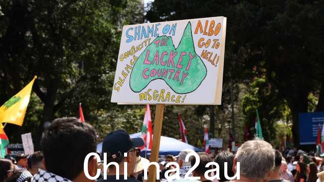 许多抗议者批评总理安东尼·阿尔巴内塞和联邦政府。图片:NewsWire/Damian Shaw