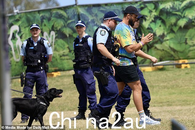 有人看到一名穿着扎染衬衫的男子与警察交谈,公园里有大量警察