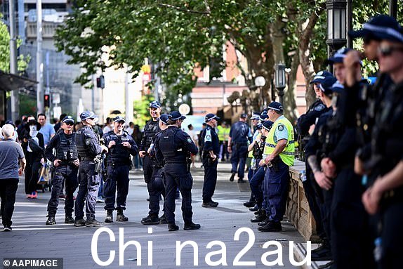 新南威尔士州警方和2024 年 10 月 7 日星期一,在悉尼市政厅举行巴勒斯坦社区守夜活动,纪念哈马斯 10 月 7 日袭击以色列一周年之前,防暴警察在场。(AAP 图片/Bianca De Marchi)无存档