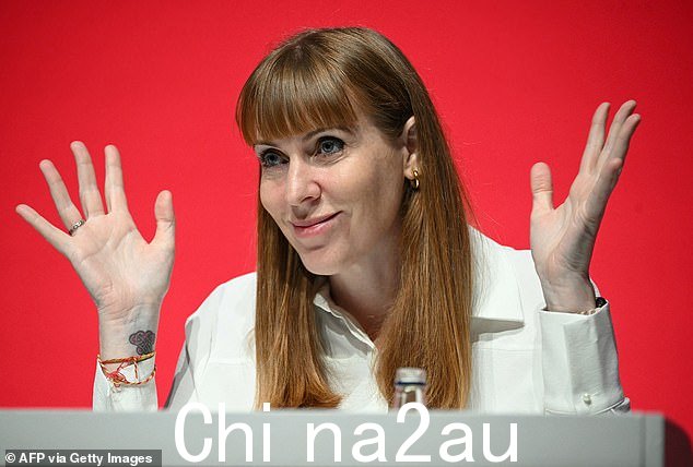 副总理安吉拉·雷纳(Angela Rayner)购买了工党捐助者阿里勋爵(Lord Alli)萨维尔街西装