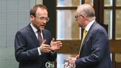 总理安东尼·阿尔巴内斯确认在即将到来的联邦选举中与绿党“没有达成协议”