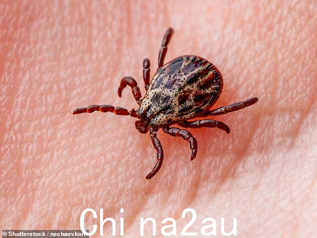 自 1985 年英国首例确诊病例以来,记录的莱姆病发病率一直在稳步上升