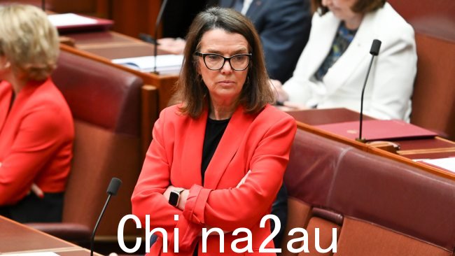 Anne Ruston 周六表示,政府仍然“错过了优先事项”声音公投失败一年后“对澳大利亚人来说最重要的事情”。图片:NewsWire / Martin Ollman