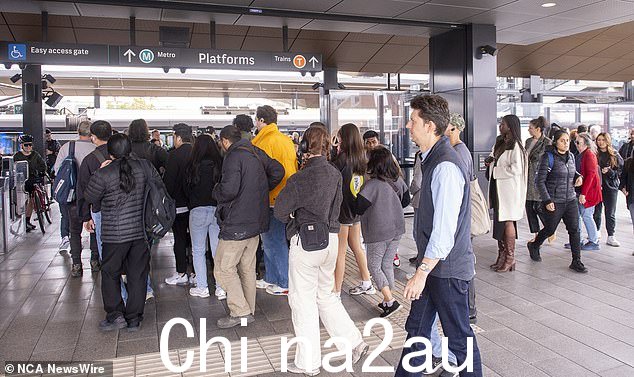许多澳大利亚人告诉那些在家办公的人要“长大”并重返办公室,世界各地越来越多的高管都持有这种观点(文件图片)