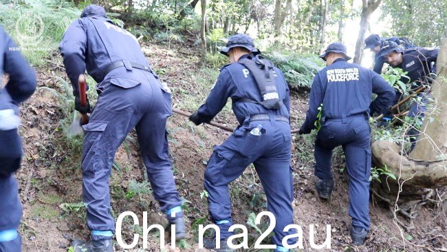 警方已搜查位于新南威尔士州东南部伊拉瓦拉的丛林,以调查随着对 Pauline Sowry 失踪事件的调查仍在继续,图片来源:新南威尔士州警方