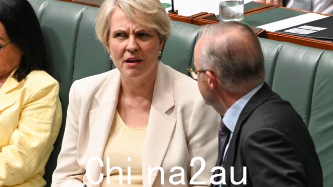 The联盟党再次对环境部长塔尼娅·普利伯塞克(Tanya Plibersek)大加指责,因为她在阻止价值10亿美元的金矿的推理中自相矛盾。图片:NCA NewsWire / Martin Ollman