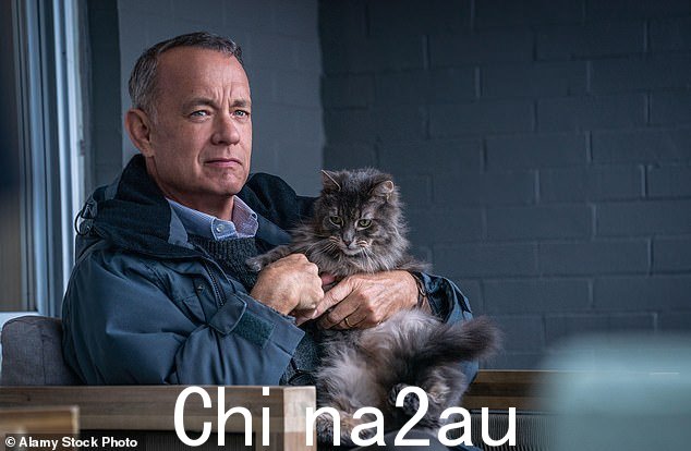 汤姆·汉克的最新电影之一本月在英国 Netflix 首映,Netflix 粉丝们“痛哭流涕”