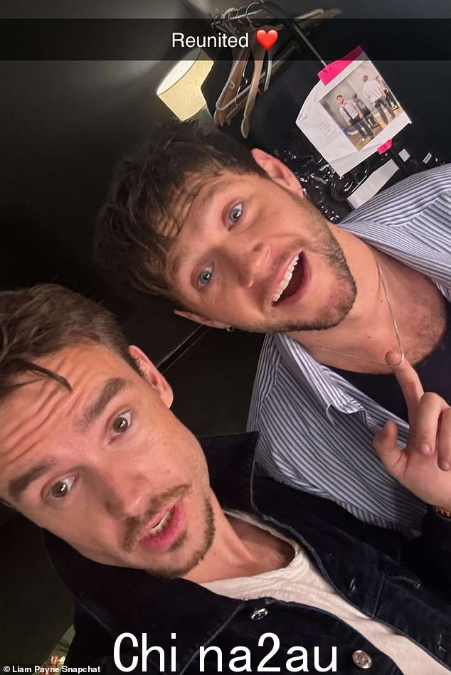 他在 Snapchat 故事上添加了与 Niall 的一张快照标题:“重聚”。