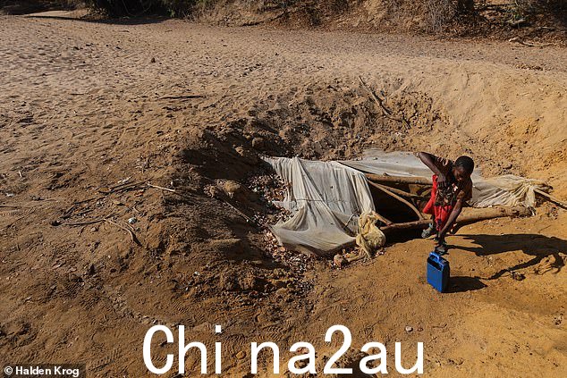 一名妇女用一只 15 英尺高的手从她家附近干涸的河床中间挖的井中的旧汽车油瓶中提水。津巴布韦处于一个政府的控制之下。 18个月的干旱,村民们不得不竭尽全力为自己寻找水源ves 他们的农作物和动物