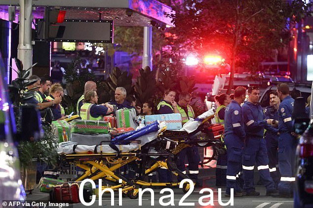 里德说他从未见过像韦斯特菲尔德这样令人痛苦的事情Bondi Junction 刺伤横行(现场护理人员)