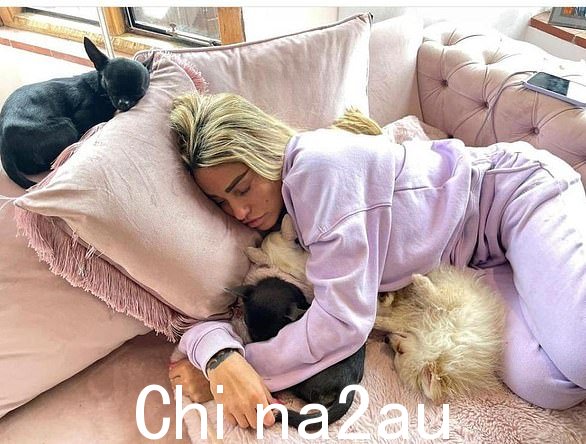 2022 年 11 月,凯蒂心爱的狗 Sharon 据称逃跑并跑到路上被车撞死(见右图)