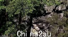 两架轻型飞机相撞，造成三名男子死亡，造成可怕的致命事故，浓烟滚滚冲上天空