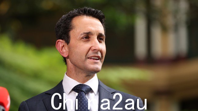 昆士兰州新任总理大卫·克里萨富利周日上午在议会大厦向媒体发表讲话。图片:Lachie Millard