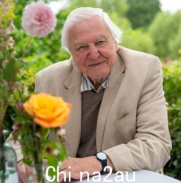 大卫·阿滕伯勒 (David Attenborough),98 岁,周日,在他的新节目《亚洲》中,粉丝们注意到广播公司独特的声音发生了变化,这让粉丝们感到困惑