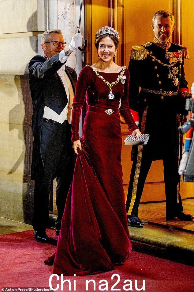 玛丽女王在 2024 年新年晚会上穿着 Birgit Hallstein 天鹅绒连衣裙,搭配 Ruby Parure Tiara