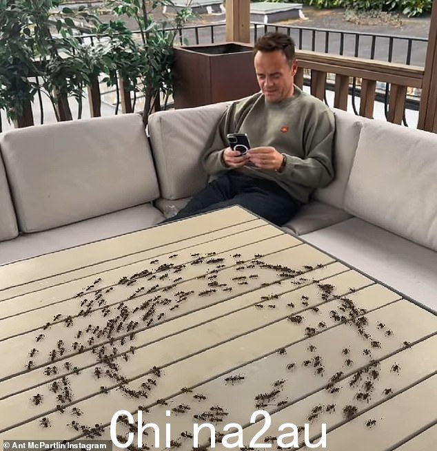 12 月 49 日,他分享了一段蚂蚁坐在花园家具上的视频,没有意识到几十只蚂蚁在桌子上爬行,证明他已经准备好拥抱营地中令人毛骨悚然的爬虫了。