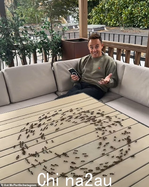 Declan Donnelly 周二在 Instagram 上展示了他淘气的一面,他对 Ant McPartlin 做了昆虫恶作剧