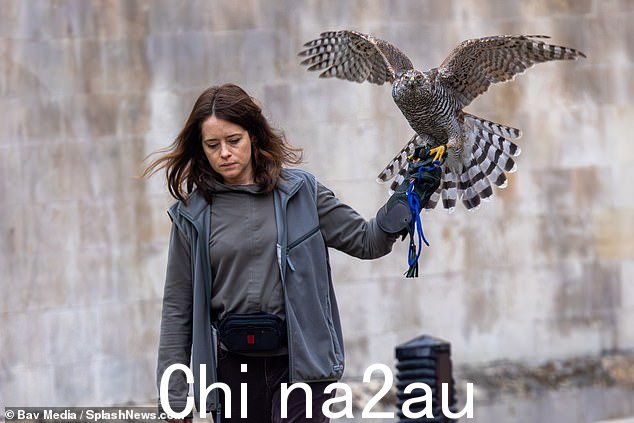 克莱尔·福伊 (Claire Foy) 在剑桥市中心拍摄的照片,手臂上戴着一只猛禽,演绎她最新的表演角色