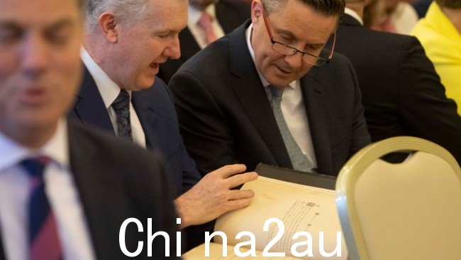 托尼·伯克和马克·巴特勒在宣誓就职前2022 年部长。图片:NCA NewsWire / Andrew Taylor