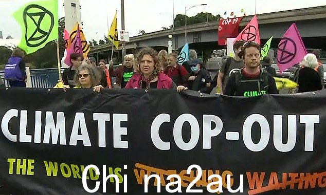 该组织举着的横幅似乎是指本周在阿塞拜疆举行的 COP29 气候峰会(如图)