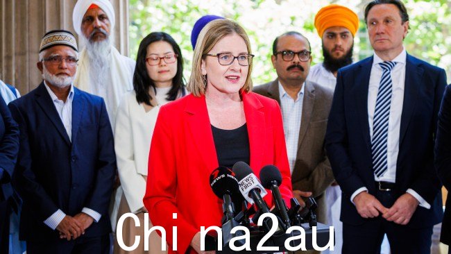 在 Myer 取消其年度活动后,维多利亚州政府将在议会引入强化的反诽谤法圣诞橱窗因计划中的亲巴勒斯坦抗议活动而揭晓。 图片:NewsWire / Aaron Francis