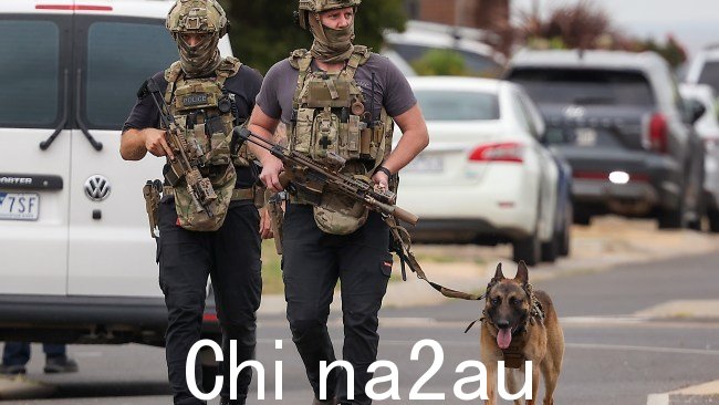 警犬被带来协助逮捕武装男子。图片:Ian Currie