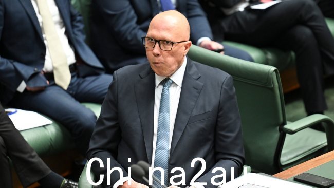 反对党领袖 Peter Dutton 将工党的现金授权称为“思想泡沫”。图片:NewsWire / Martin Ollman