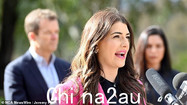 Miranda MP Eleni Petino我们告诉 2GB 家长觉得他们有对发生的事情一无所知,想知道他们对孩子说了些什么