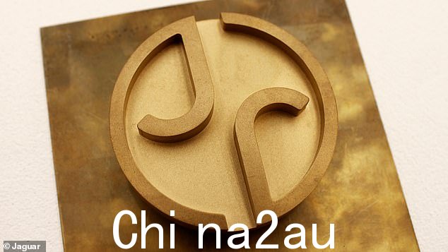 公司作为彻底的电动品牌重塑的一部分,它放弃了露出牙齿的大猫标志,它承认这不会吸引大多数传统客户