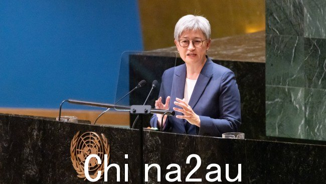 在澳大利亚支持联合国承认巴勒斯坦主权的决议之前,外交部长黄英贤无视外交建议。图片:DFAT via NCA NewsWire