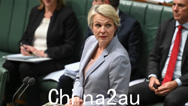 环境部长坦尼娅·普利伯塞克 (Tanya Plibersek) 于八月宣布决定停止修建金矿尾矿坝。图片:NCA NewsWire / Martin Ollman。