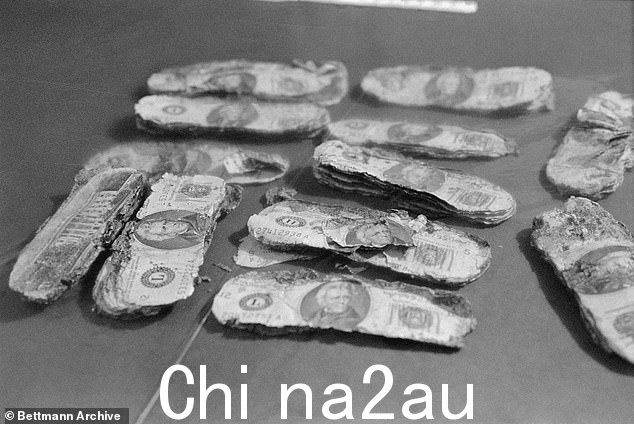 许多人相信麦考伊是库珀因为他在被捕并被定罪之前几个月就完成了同样的抢劫。每次,劫机者都带着数十万美元逃跑