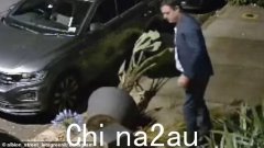 奇怪的时刻，穿着考究的悉尼勋在时尚的萨利山狂暴地砸毁家外的盆栽植物
