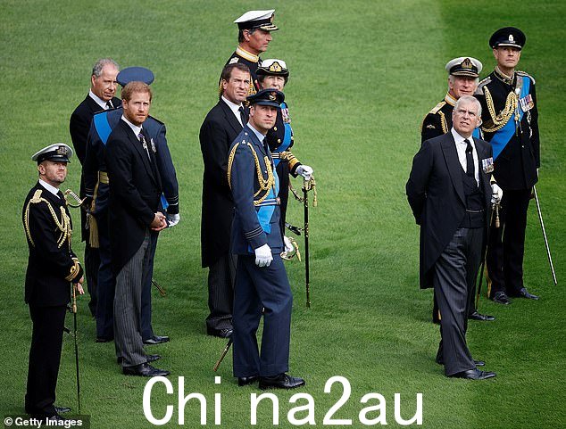 王子2022 年 9 月 19 日,在圣乔治教堂举行的伊丽莎白二世女王入院仪式上,哈里、威廉王子、查理三世国王、安妮公主、安德鲁王子、爱德华王子、彼得·菲利普斯和罗布·迪克森聚集在温莎城堡。 img-share