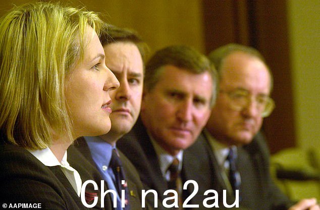Albo 是1996 年当选为联邦议会议员。Plibersek 于 1998 年当选。两人均代表受到绿党威胁的悉尼内城区席位