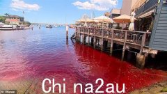 悉尼港神秘地变成血红色——震惊变化的原因揭晓