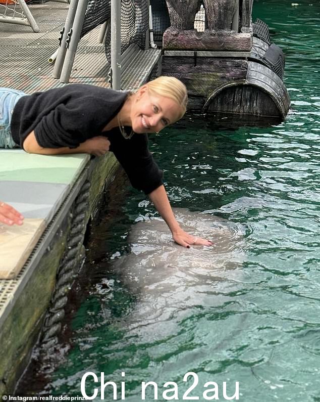 莎拉米歇尔·盖拉 (Michelle Gellar) 趴在地上,趴在悉尼海洋生物水族馆拍拍海豹