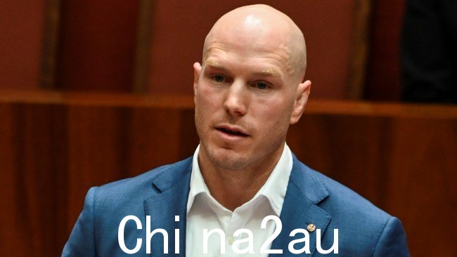 在 2022 年选举中,Gallagher 获得第一名,而 Pocock 当选为 ACT 的取代自由党 Zed Seselja 后的第一位独立参议员 图片:NCA NewsWire / Martin Ollman